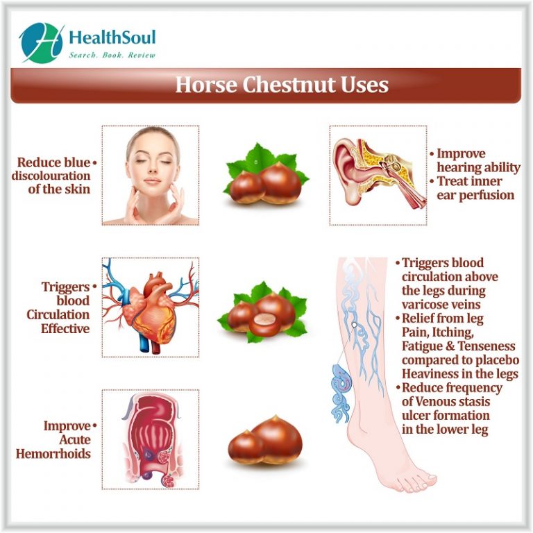 Horse chestnut Benefits Healthsoul