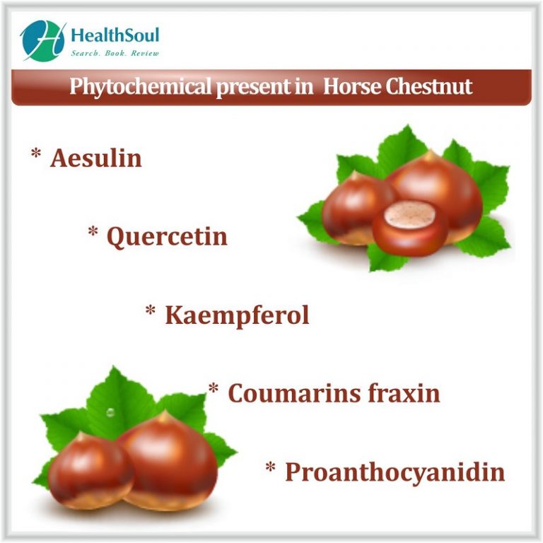Horse chestnut Benefits Healthsoul