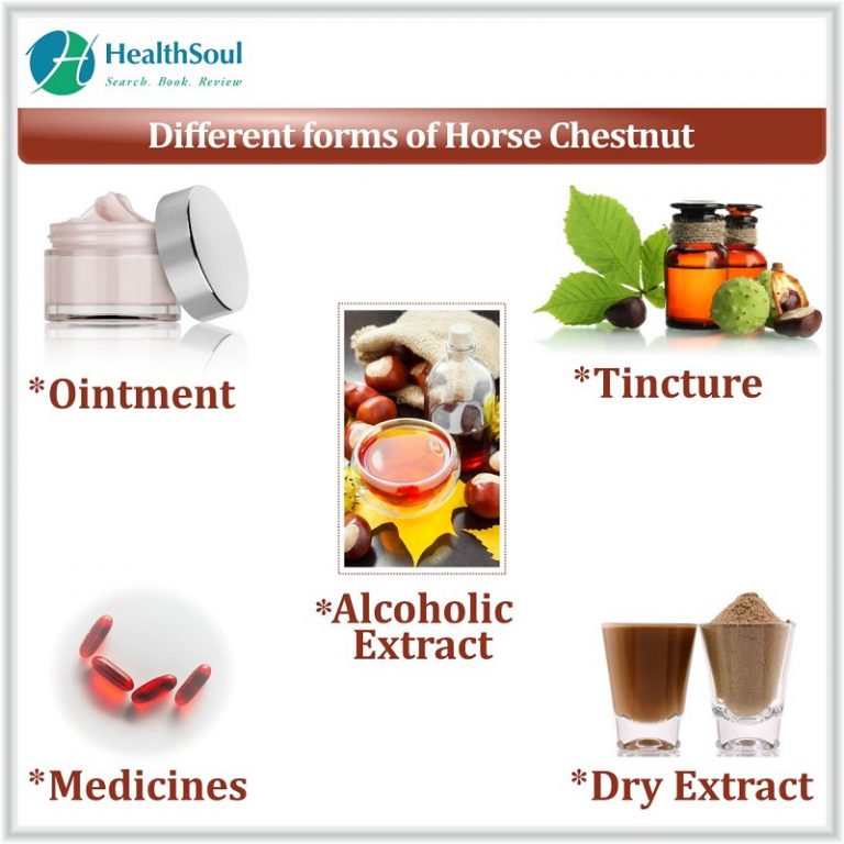 Horse chestnut Benefits Healthsoul