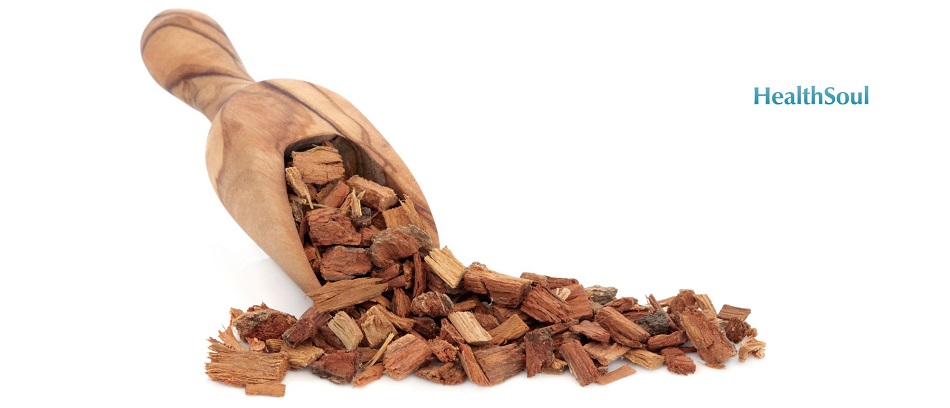 Pine bark extract benefits | HealthSoul