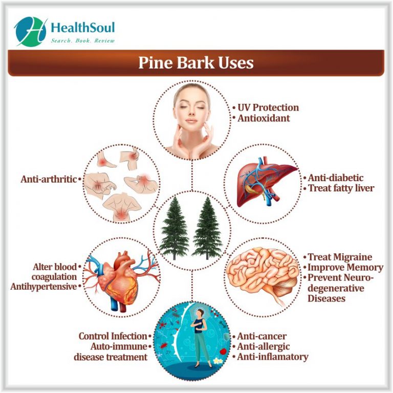 Pine bark extract benefits Healthsoul