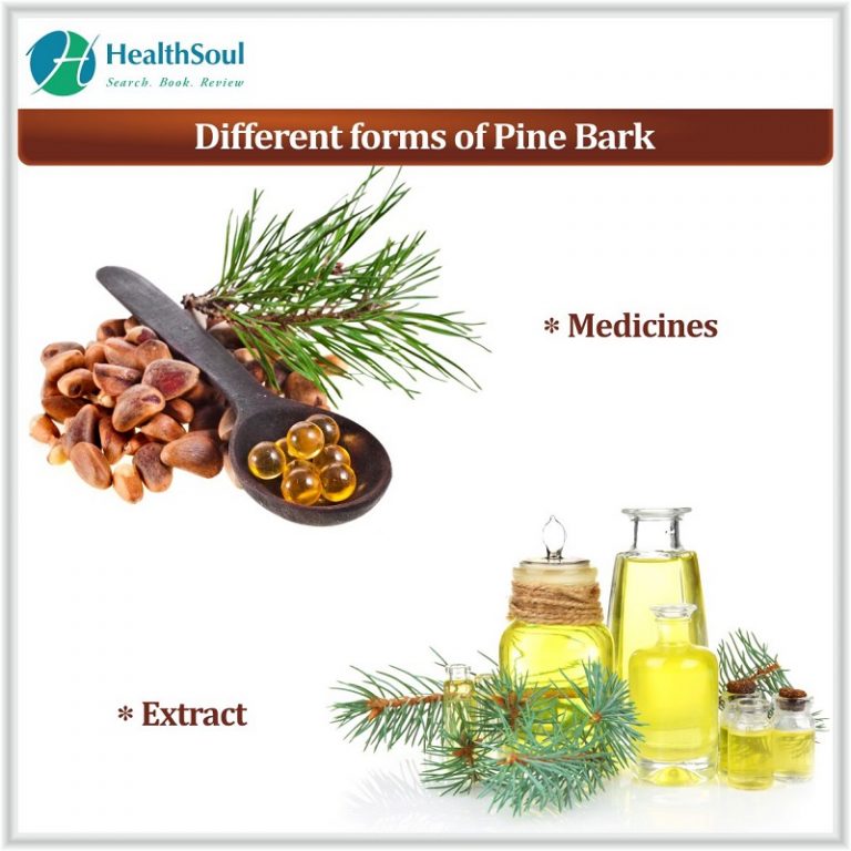 Pine bark extract benefits Healthsoul