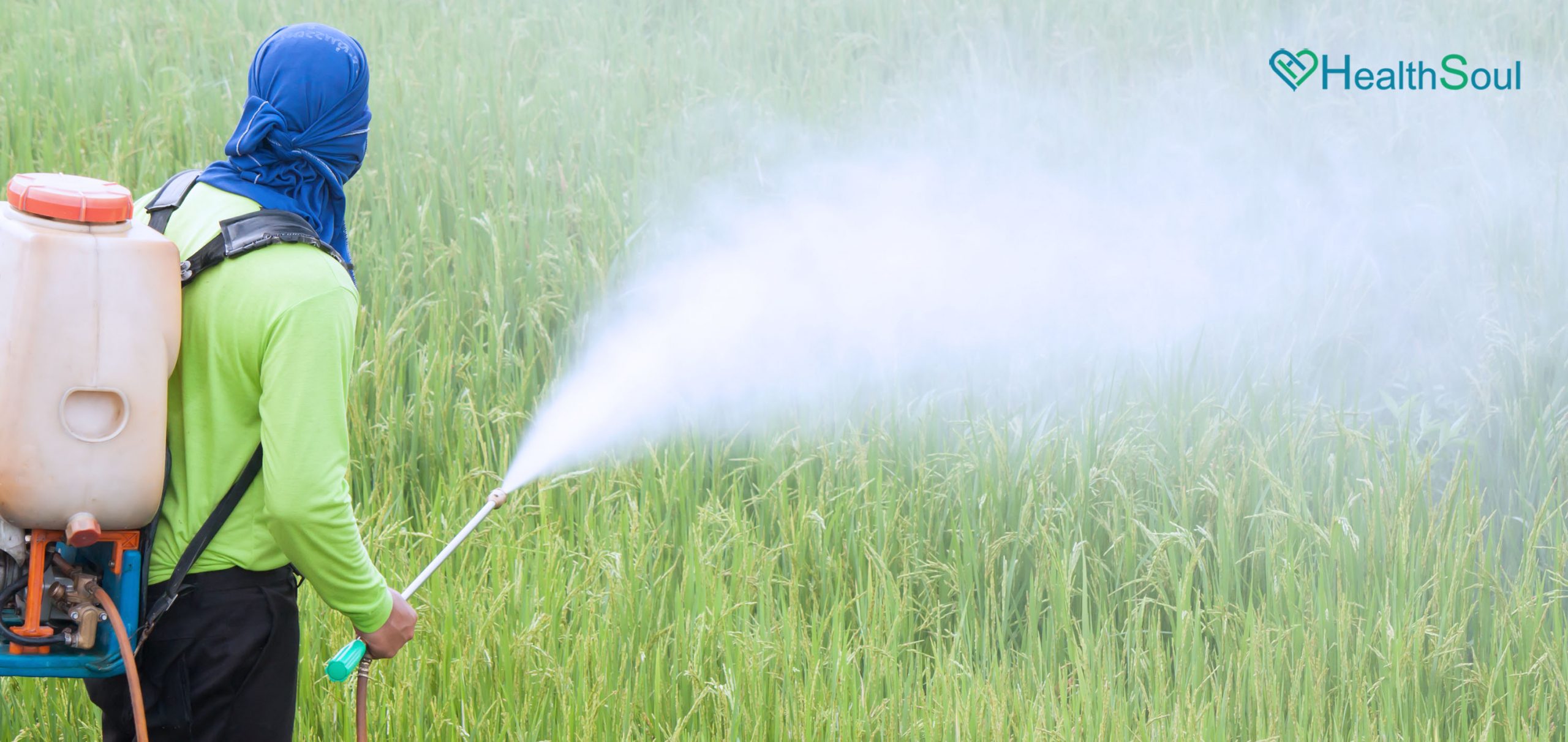 The known harmful health impact of pesticides scaled | HealthSoul